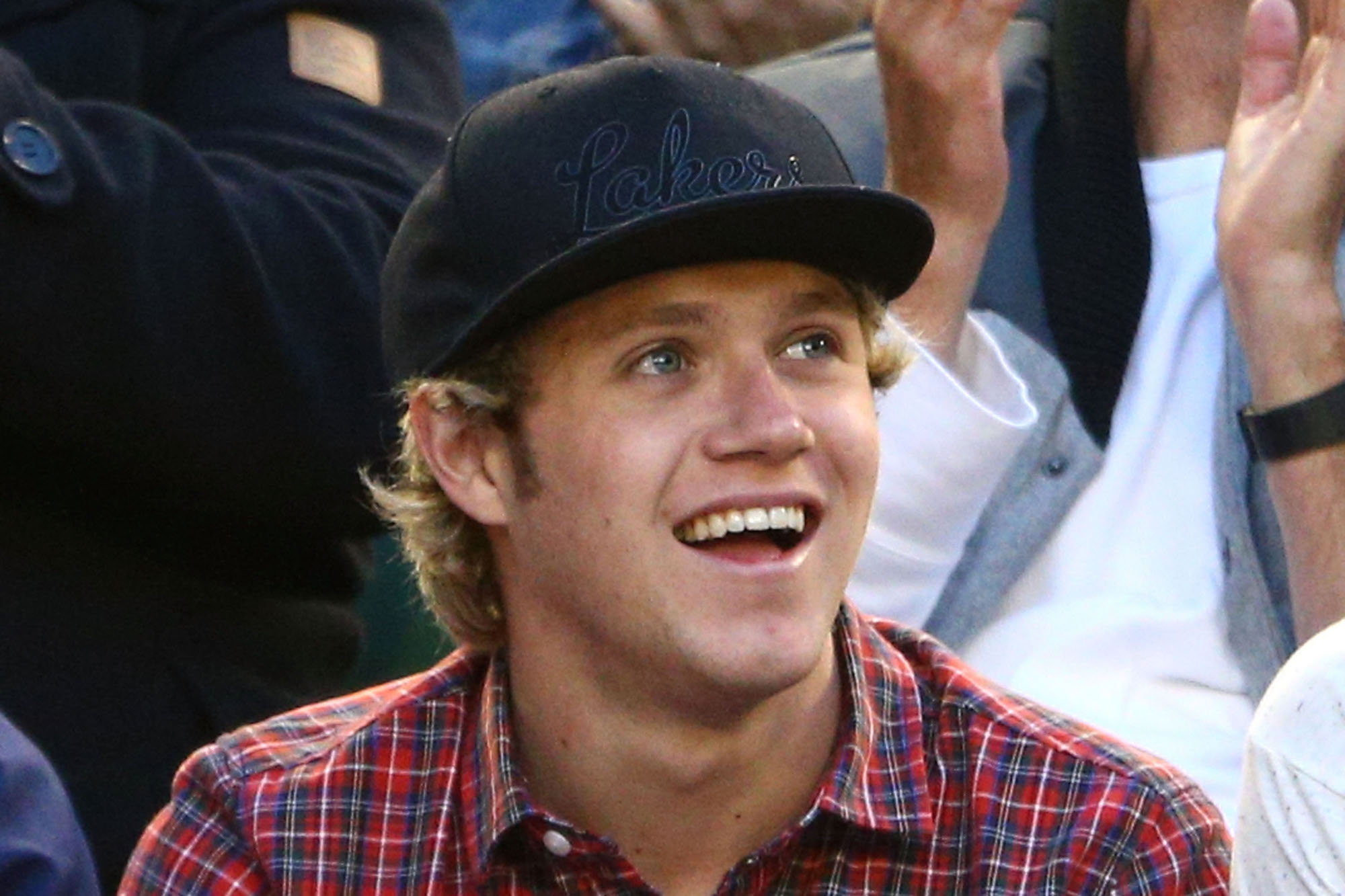 Niall Horan Picks Up A Surprising New Side Gig During One Direction’s Tour Hiatus