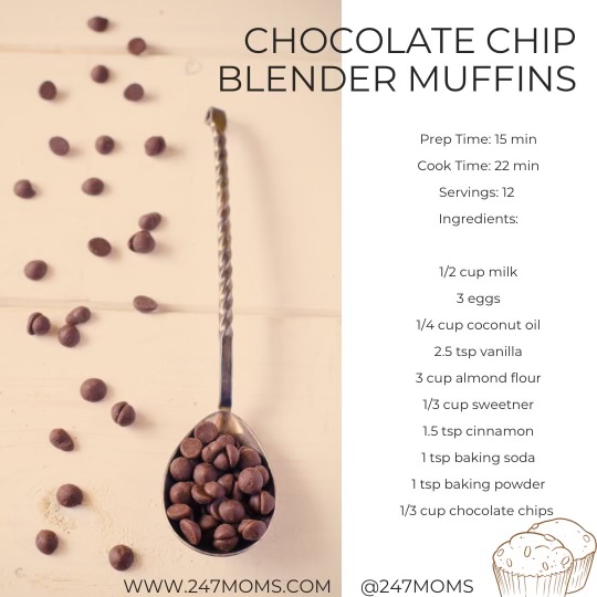 Blender Chocolate Chip Muffins – 24/7 Moms