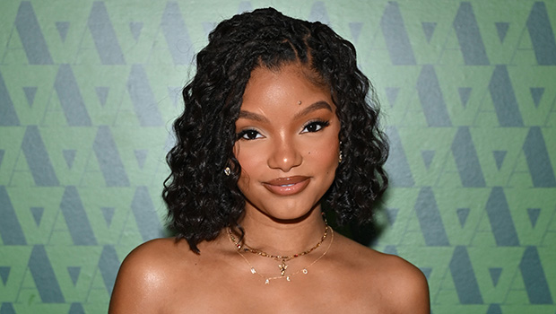 Halle Bailey Details ‘Severe Postpartum’ Depression After Halo’s Birth – Hollywood Life