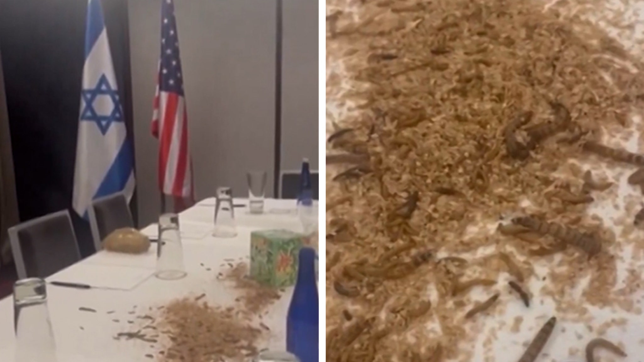 Pro-Palestinian Protesters Unleash Maggots, Crickets Inside Netanyahu’s Hotel