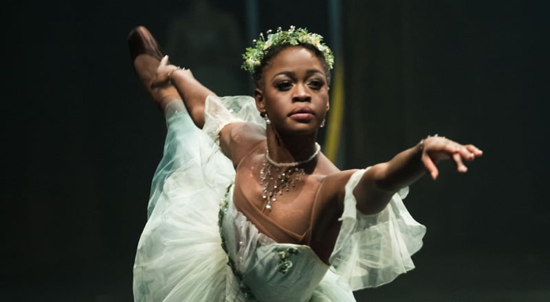 Ballet Dancer Michaela DePrince Dead at 29, Family Confirms in Statement | Michaela DePrince, RIP | Just Jared: Celebrity News and Gossip