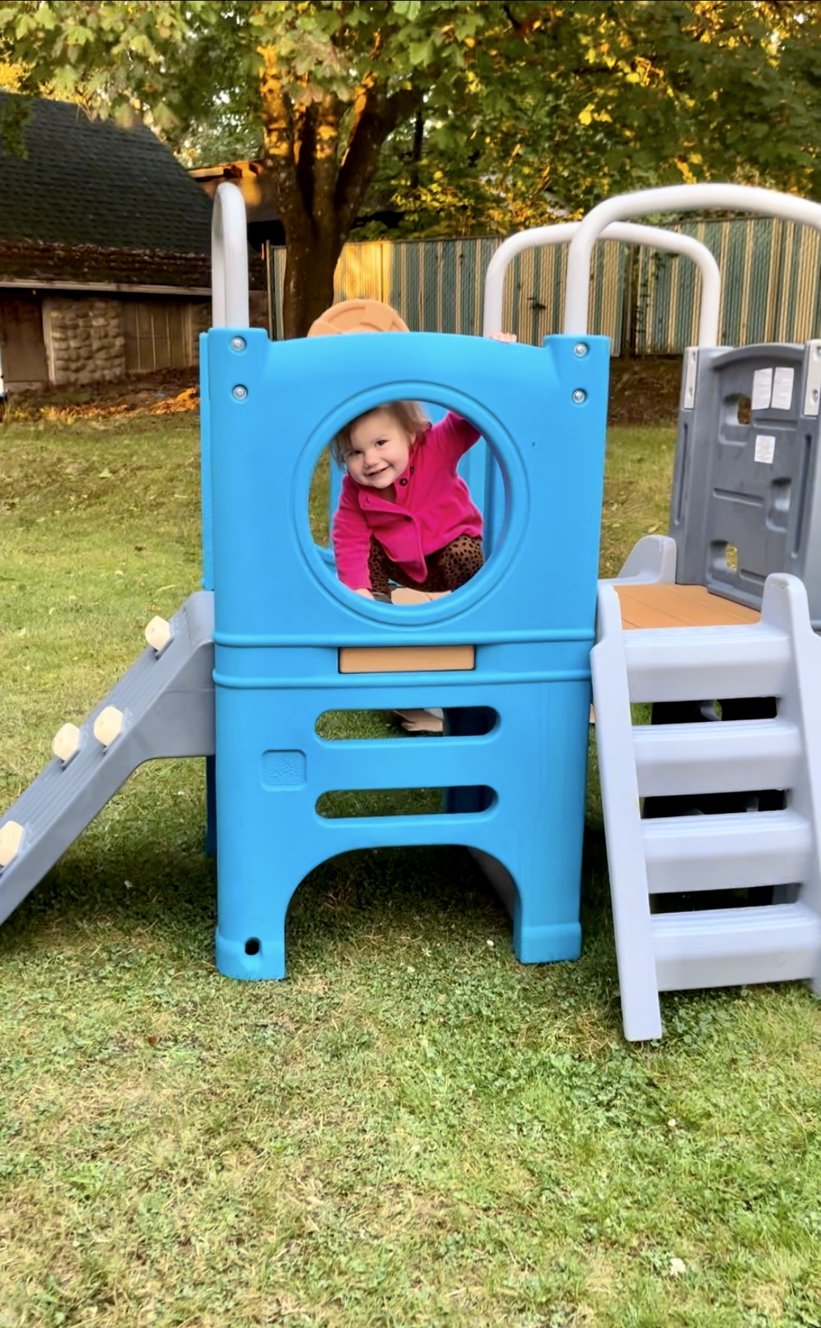 STEP 2: Scout & Slide Climber Playset