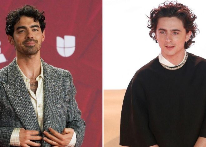 Joe Jonas Says Timothee Chalamet Never Replied To His Selfie