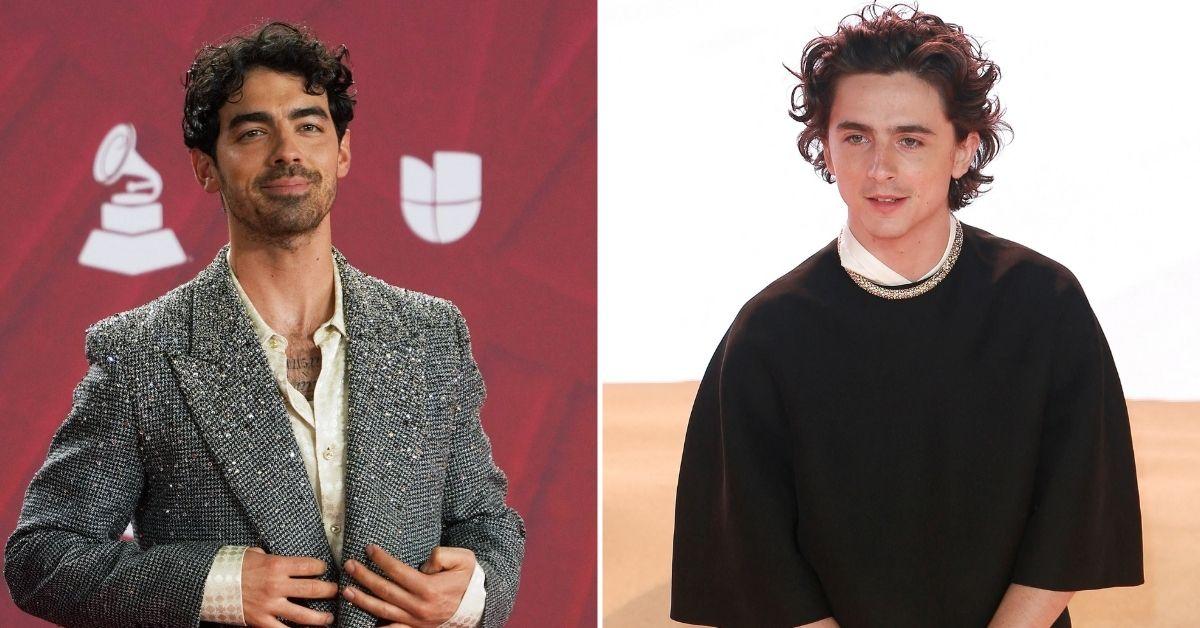 Joe Jonas Says Timothee Chalamet Never Replied To His Selfie